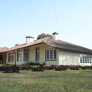 Ama And Trails Tea Estate , India